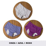 Calcinha Absorvente para Menstruação KIT 3PCS